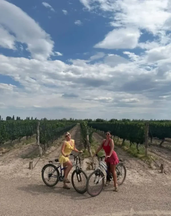 Cyclists riding through the vineyards at Mevi Winery during a self-guided bike tour in Maipú, Mendoza.