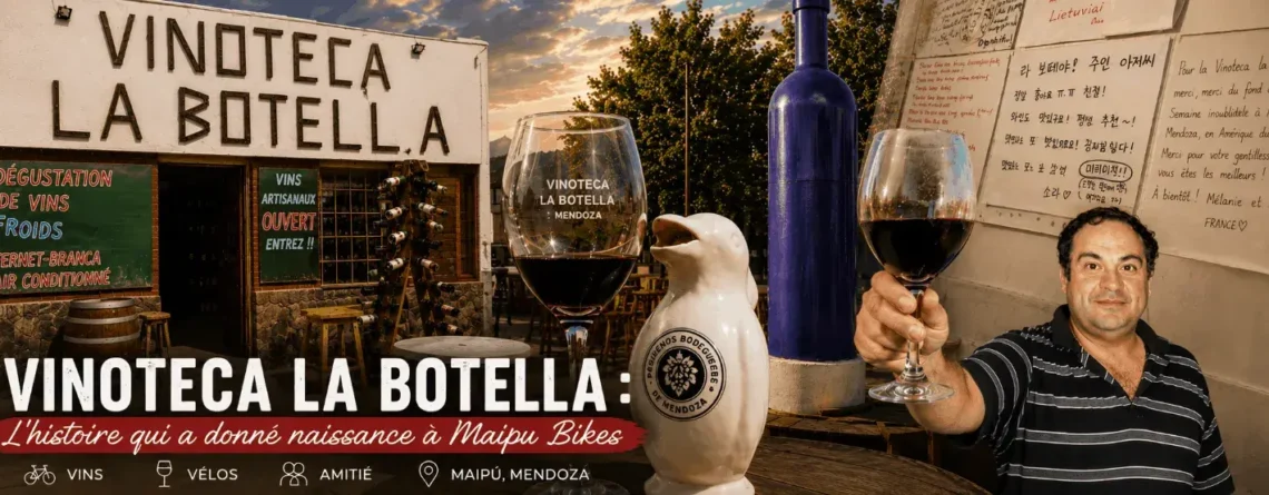 Image de couverture de l’histoire de Vinoteca La Botella, des origines de Maipu Bikes et des amitiés créées avec des voyageurs du monde entier à Maipú, Mendoza.