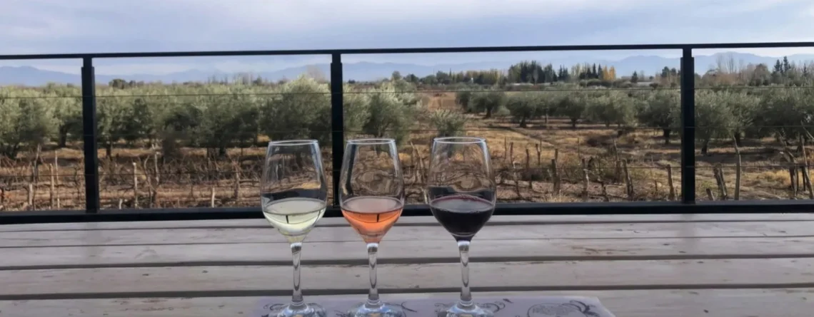 Ciclistas recorriendo la ruta del vino y bodegas en Maipú Mendoza con bicicletas de Maipu Bikes.