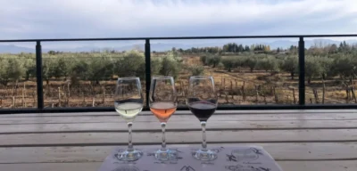 Ciclistas recorriendo la ruta del vino y bodegas en Maipú Mendoza con bicicletas de Maipu Bikes.