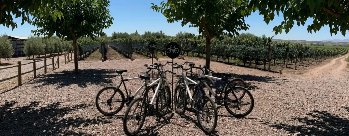 Turistas disfrutando del alquiler de bicicletas en Mendoza, recorriendo los viñedos y bodegas de Maipú.