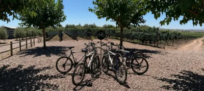Turistas disfrutando del alquiler de bicicletas en Mendoza, recorriendo los viñedos y bodegas de Maipú.