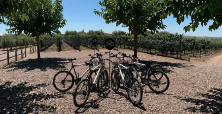 Turistas disfrutando del alquiler de bicicletas en Mendoza, recorriendo los viñedos y bodegas de Maipú.