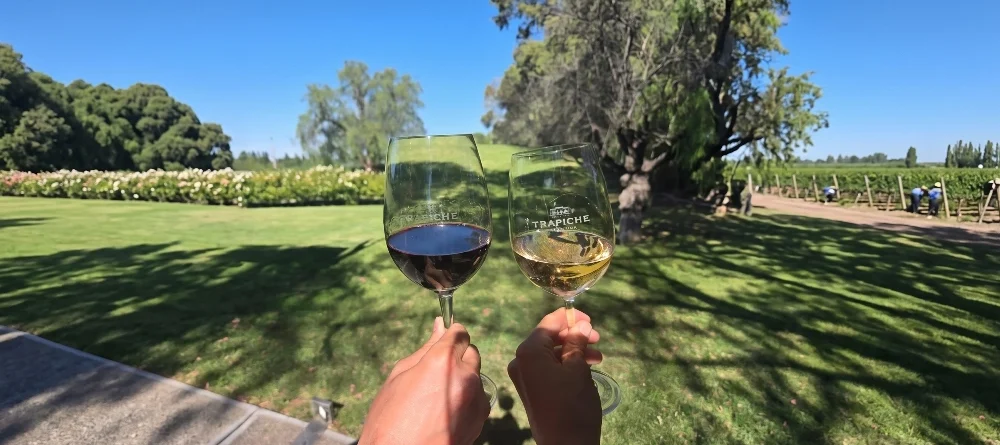 Transporte público en Mendoza mostrando cómo llegar a las bodegas de Maipú.