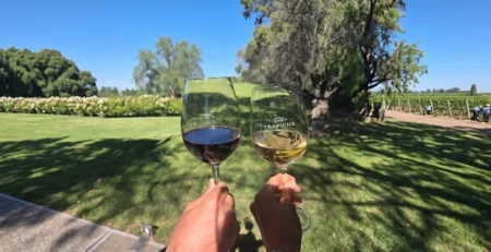 Transporte público en Mendoza mostrando cómo llegar a las bodegas de Maipú.