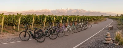 Grupo de amigos consultando los precios de alquiler de bicicletas en Mendoza para recorrer las bodegas.