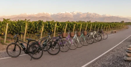 Grupo de amigos consultando los precios de alquiler de bicicletas en Mendoza para recorrer las bodegas.