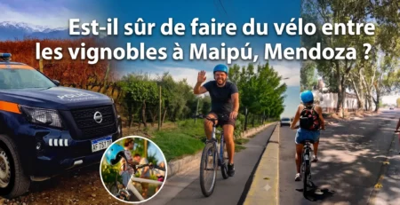 Des cyclistes circulant en toute sécurité entre les domaines viticoles de la Route des Vins de Maipú, à Mendoza.