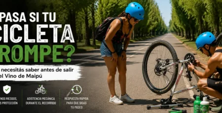 Mechanical assistance service during a bike tour in Maipú, Mendoza