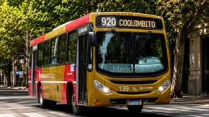 Buslinie 920 auf der Strecke in Richtung Coquimbito