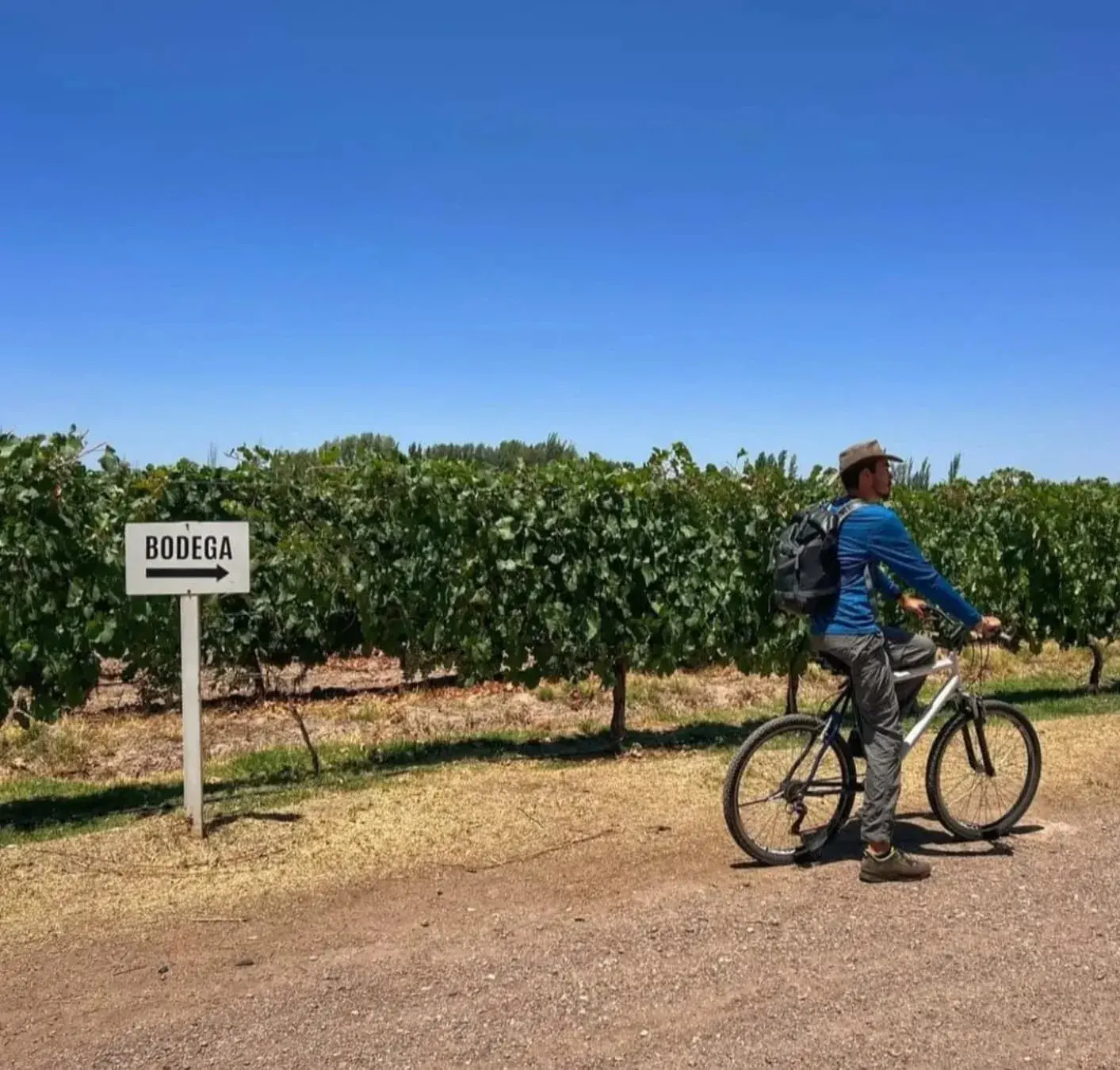 Voyageur circulant à vélo près des vignobles de Maipú au cours d’une promenade autoguidée