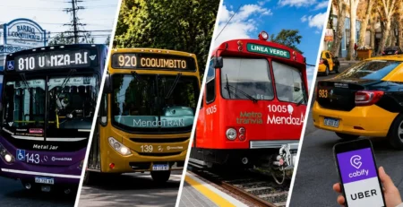 Comparison of transportation options to reach the Maipú Wine Route from Mendoza City.