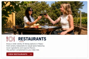 Enjoy the best restaurants along Mendoza's Wine Route during your bike tour.