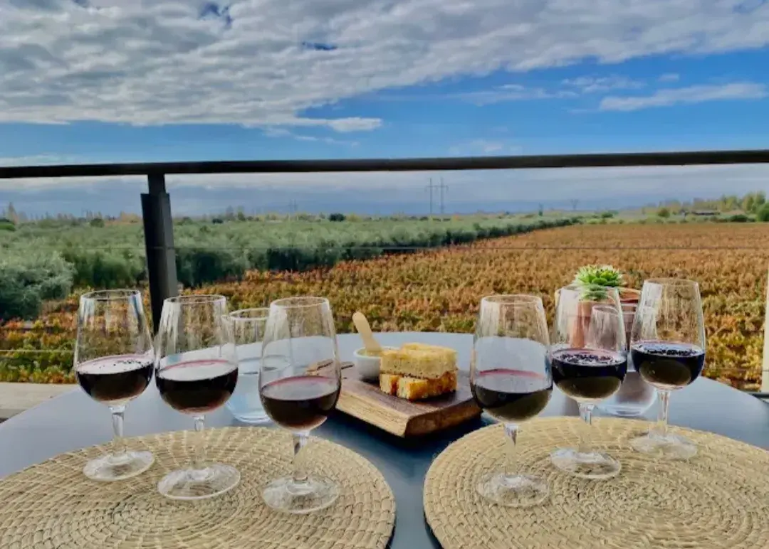 Wijnproeverij met uitzicht op de wijngaarden bij Bodega Tempus Alba in Maipú, Mendoza.