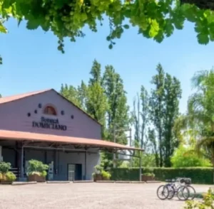 Fahrradtour durch die Bodega Domiciano in Maipú, Mendoza, Argentinien.