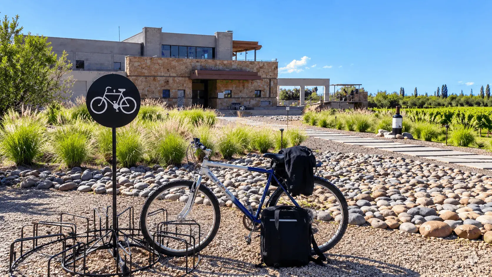Bicicleta estacionada en Bodega Tempus Alba durante la Ruta del Vino de Maipú