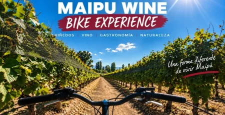 Maipu Wine Bike Experience recorriendo en bicicleta los viñedos de la Ruta del Vino de Maipú