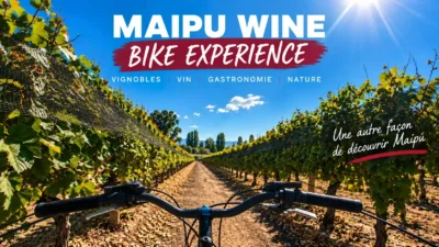 Maipu Wine Bike Experience à vélo à travers les vignobles de la Route des Vins de Maipú