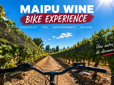 Maipu Wine Bike Experience à vélo à travers les vignobles de la Route des Vins de Maipú