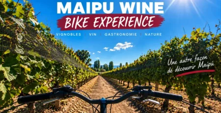 Maipu Wine Bike Experience à vélo à travers les vignobles de la Route des Vins de Maipú