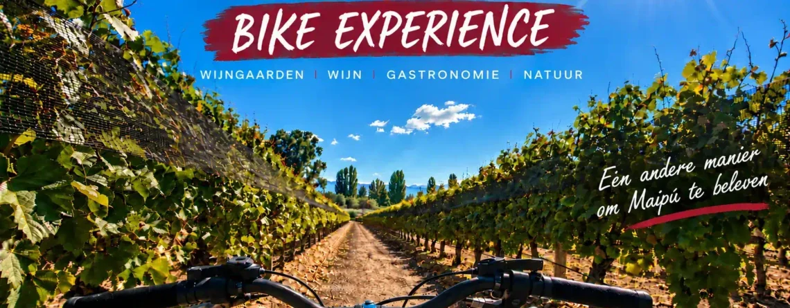 Maipu Wine Bike Experience op de fiets door de wijngaarden van de Maipu-wijnroute