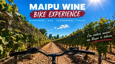 Maipu Wine Bike Experience op de fiets door de wijngaarden van de Maipu-wijnroute