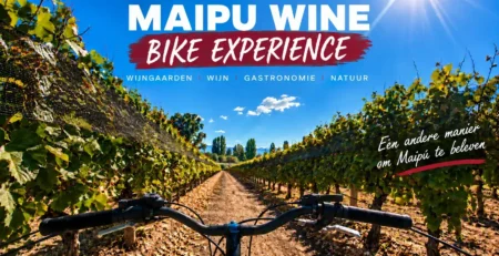 Maipu Wine Bike Experience op de fiets door de wijngaarden van de Maipu-wijnroute