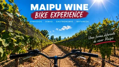Maipu Wine Bike Experience de bicicleta pelos vinhedos da Rota do Vinho de Maipu