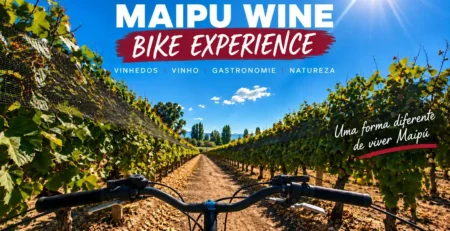 Maipu Wine Bike Experience de bicicleta pelos vinhedos da Rota do Vinho de Maipu