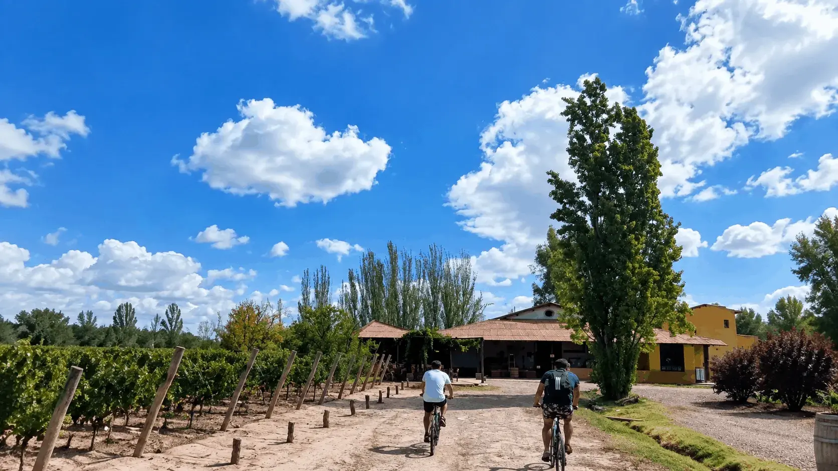 Turistas andando en bicicleta en Bodega Viña El Cerno en Maipú