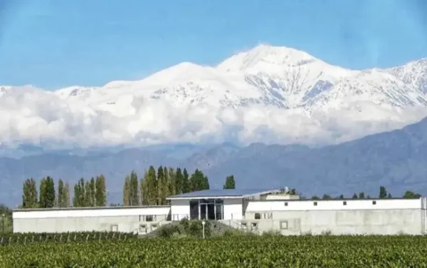Bodega Mevi y la Cordillera de los Andes en Maipú, Mendoza