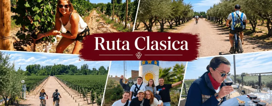 Ruta Clásica de Maipú en bicicleta entre viñedos, olivares y experiencias de vino