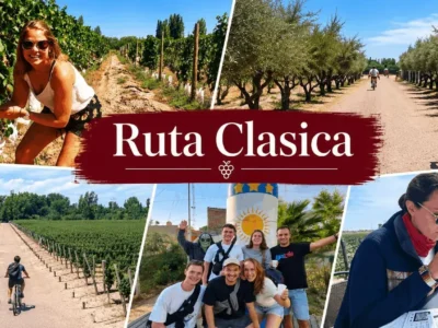 Ruta Clásica de Maipú en bicicleta entre viñedos, olivares y experiencias de vino