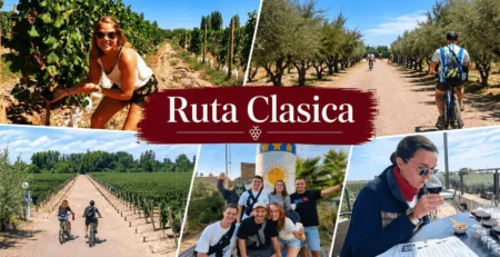 Ruta Clásica de Maipú en bicicleta entre viñedos, olivares y experiencias de vino
